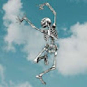 Meet your Posher, Lily